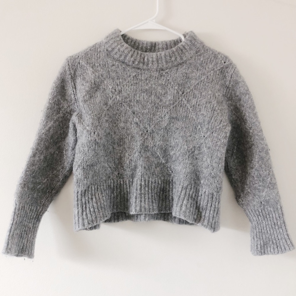 Everlane ✨ Cropped Wool Crew Neck Sweater